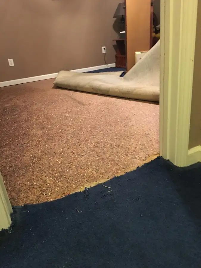 Carpet pad removal revealing water damage during Drying & Dehumidification in Rochelle