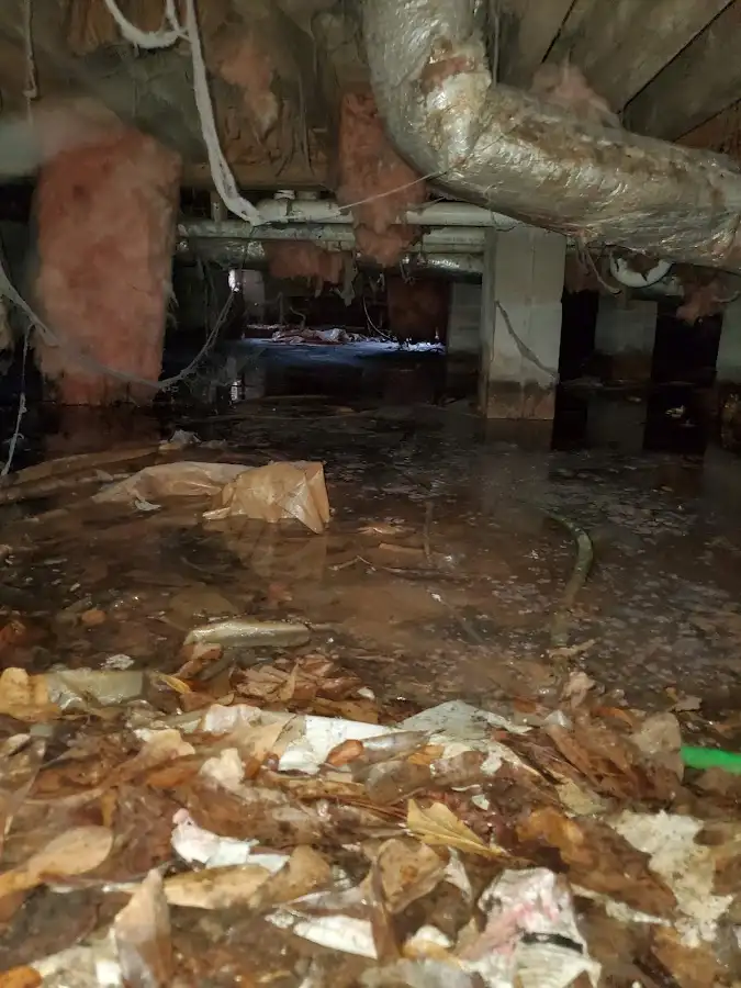 Crawl space flood assessment for Leak Detection & Repair in Rochelle